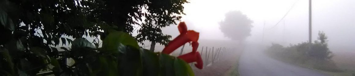 Cropped Picture33 Jpg Meteorologist Mark